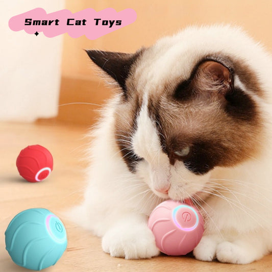 Automatic Rolling & Bouncing USB Ball for Kittens